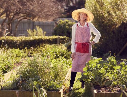 Urban Farming: Nachhaltige Städte im Vormarsch