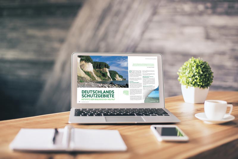 produktkataloge-digitalisieren